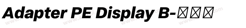 Adapter PE Display B字体转换